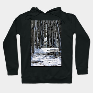 Through the Trees Hoodie